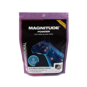 Magnitude 1kg
