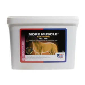 More Muscle XXXtreme